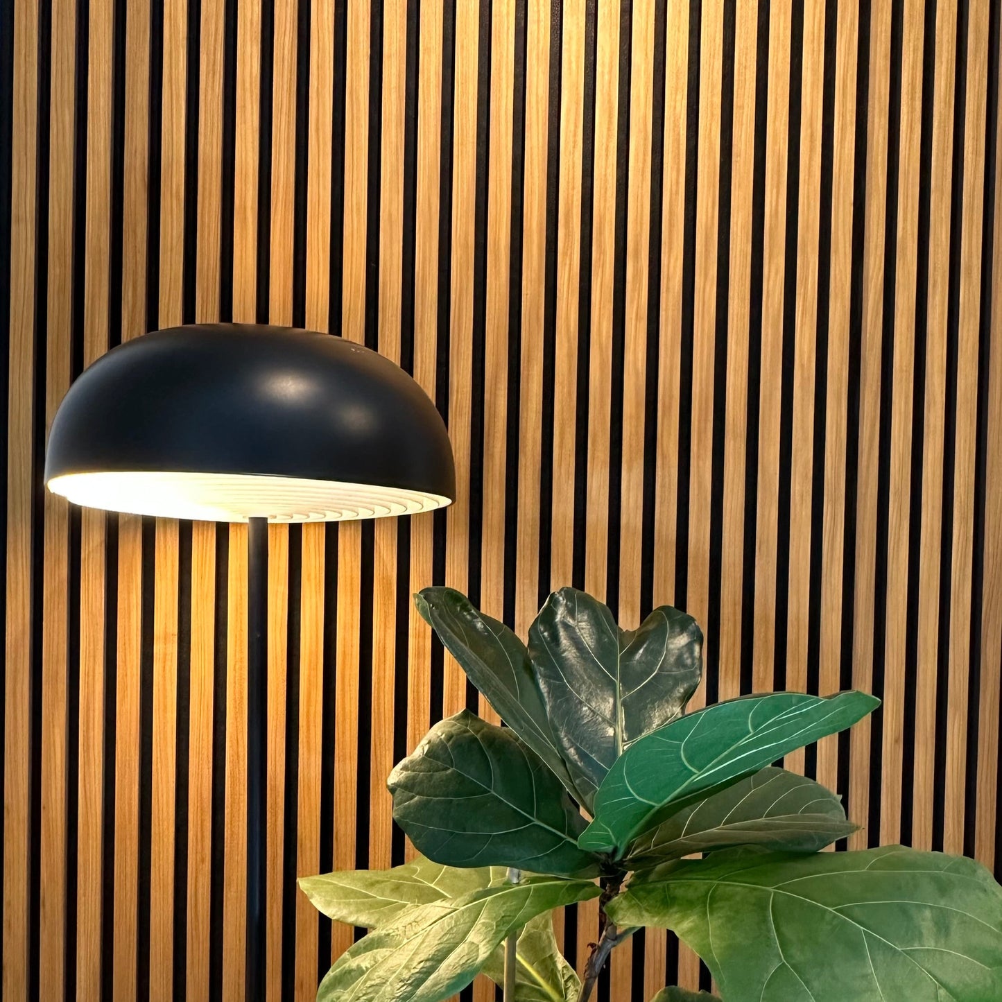 Akustikpanel Teak - Oljad